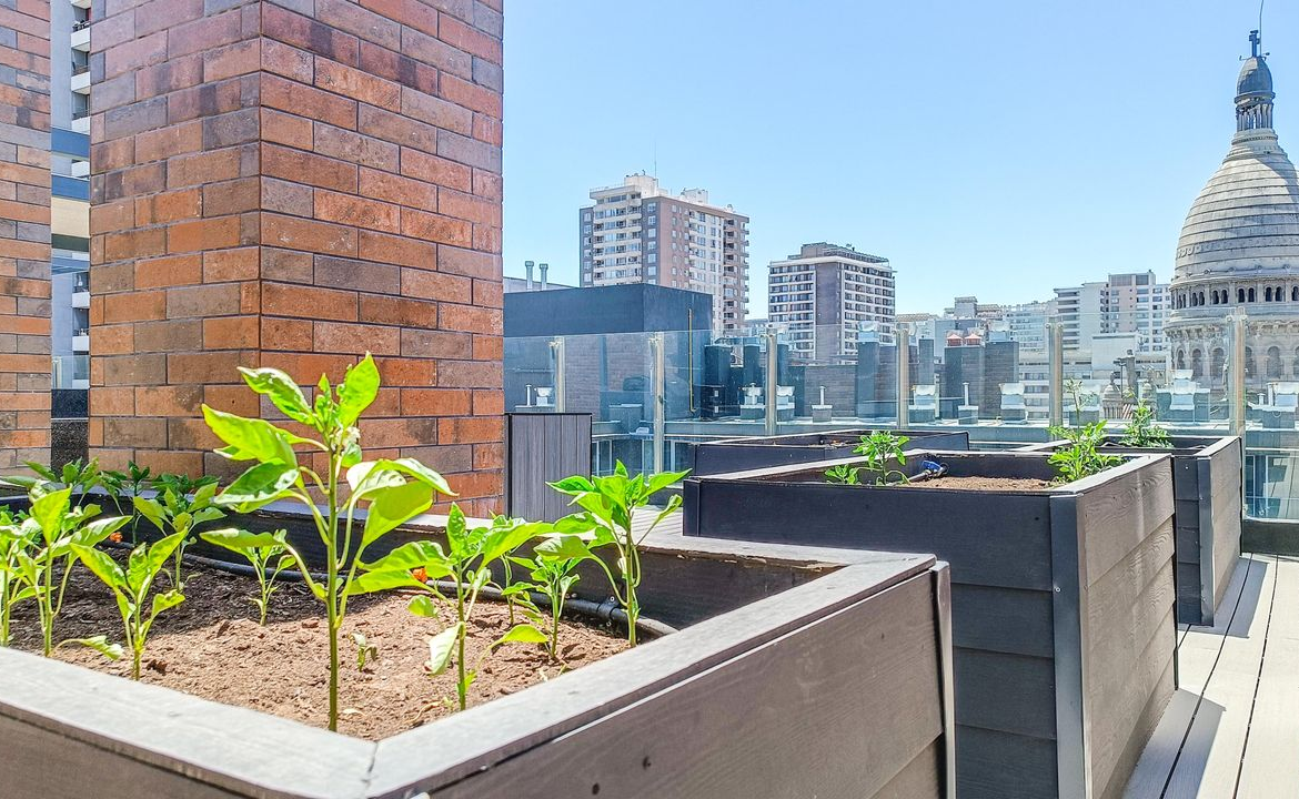 VENTA DEPARTAMENTO 1HAB 1BA SANTIAGO