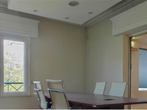 Gran y exclusiva Casa Comercial 15P/9B – 15E/4B en Providencia