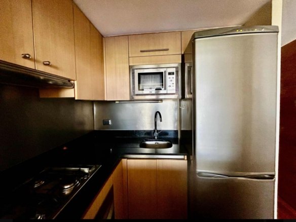 Cercano a metro los leones 2D